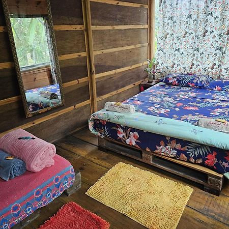 Eco Hostel Organic Life Trindade  Ngoại thất bức ảnh