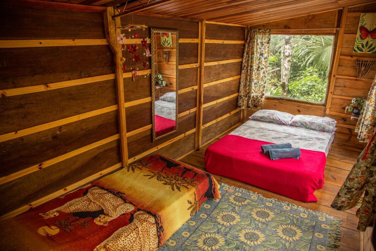 Eco Hostel Organic Life Trindade  Ngoại thất bức ảnh