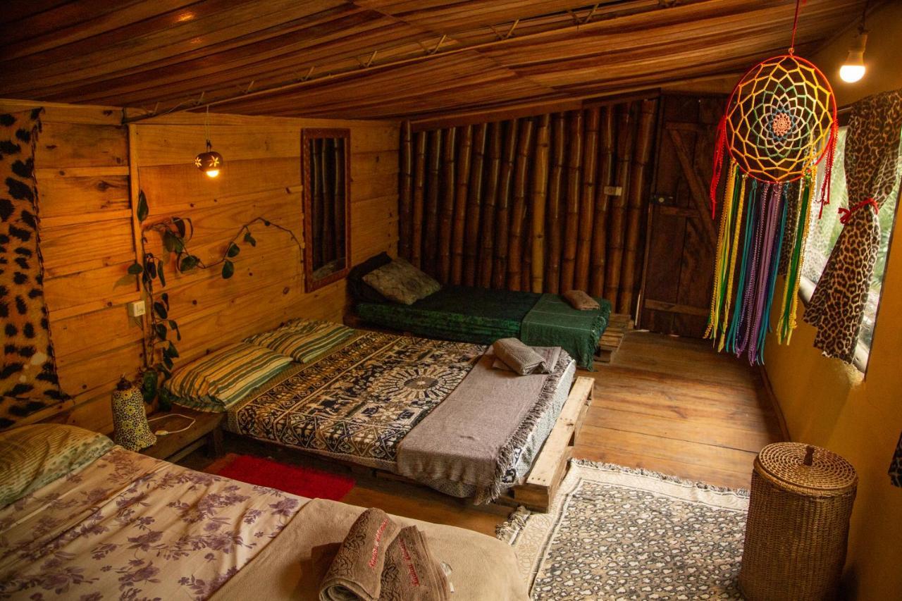 Eco Hostel Organic Life Trindade  Ngoại thất bức ảnh