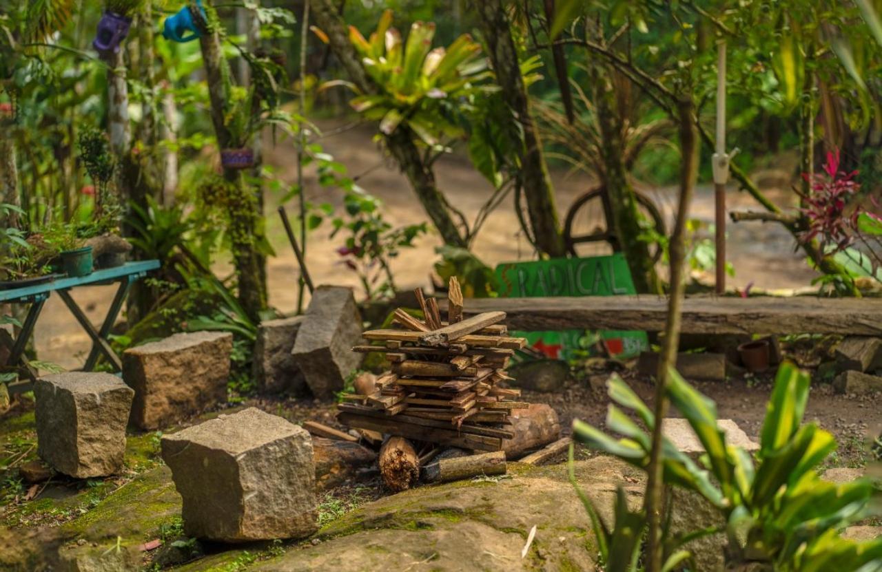 Eco Hostel Organic Life Trindade  Ngoại thất bức ảnh