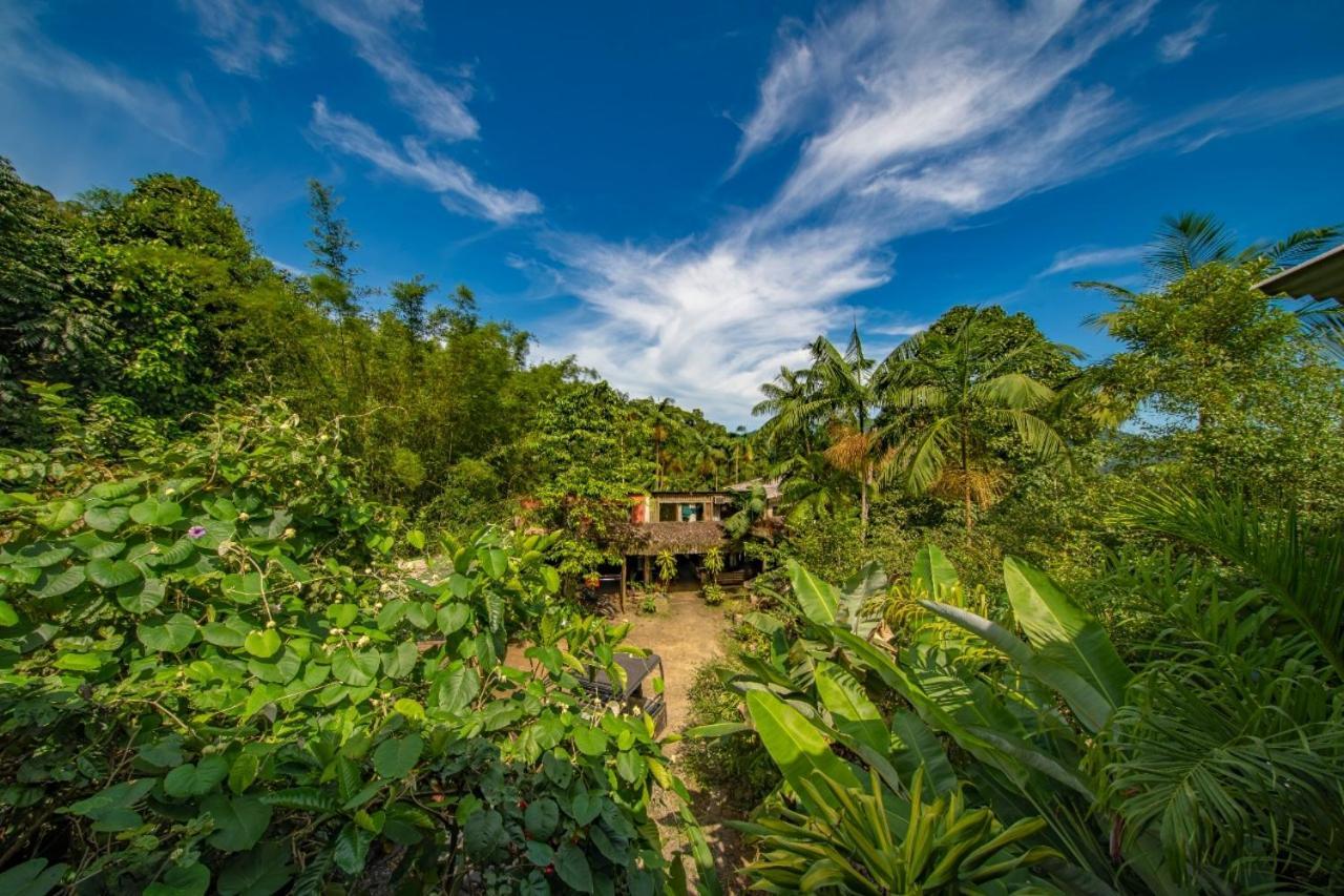 Eco Hostel Organic Life Trindade  Ngoại thất bức ảnh
