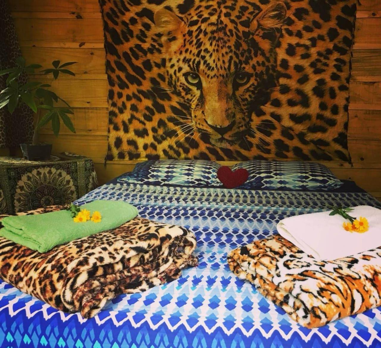Eco Hostel Organic Life Trindade  Ngoại thất bức ảnh