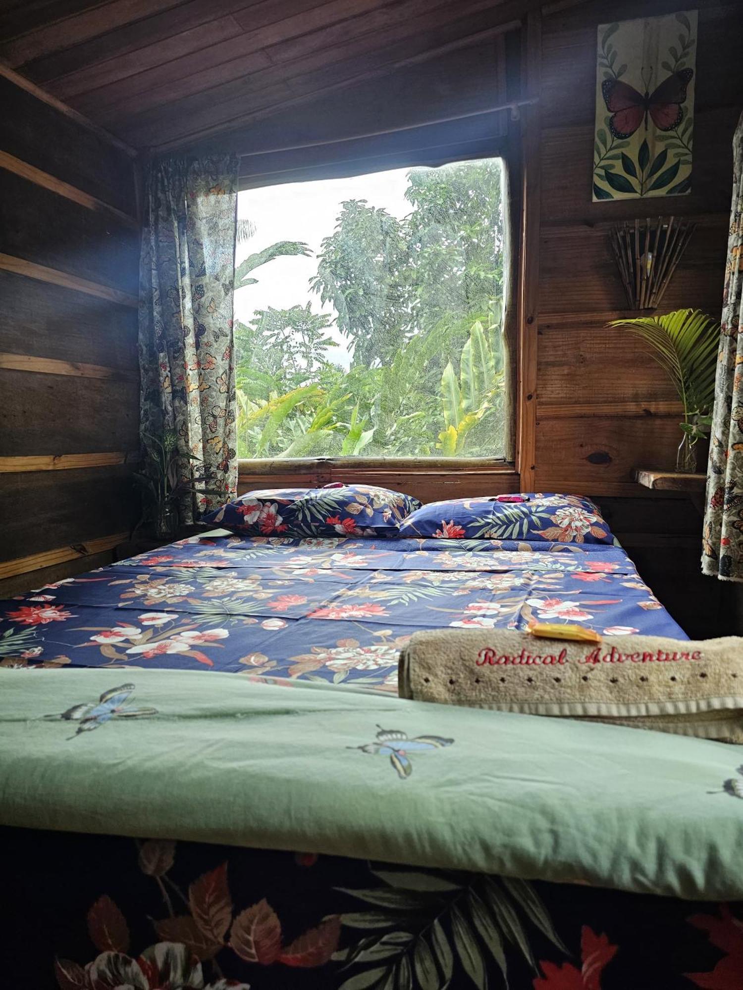 Eco Hostel Organic Life Trindade  Ngoại thất bức ảnh