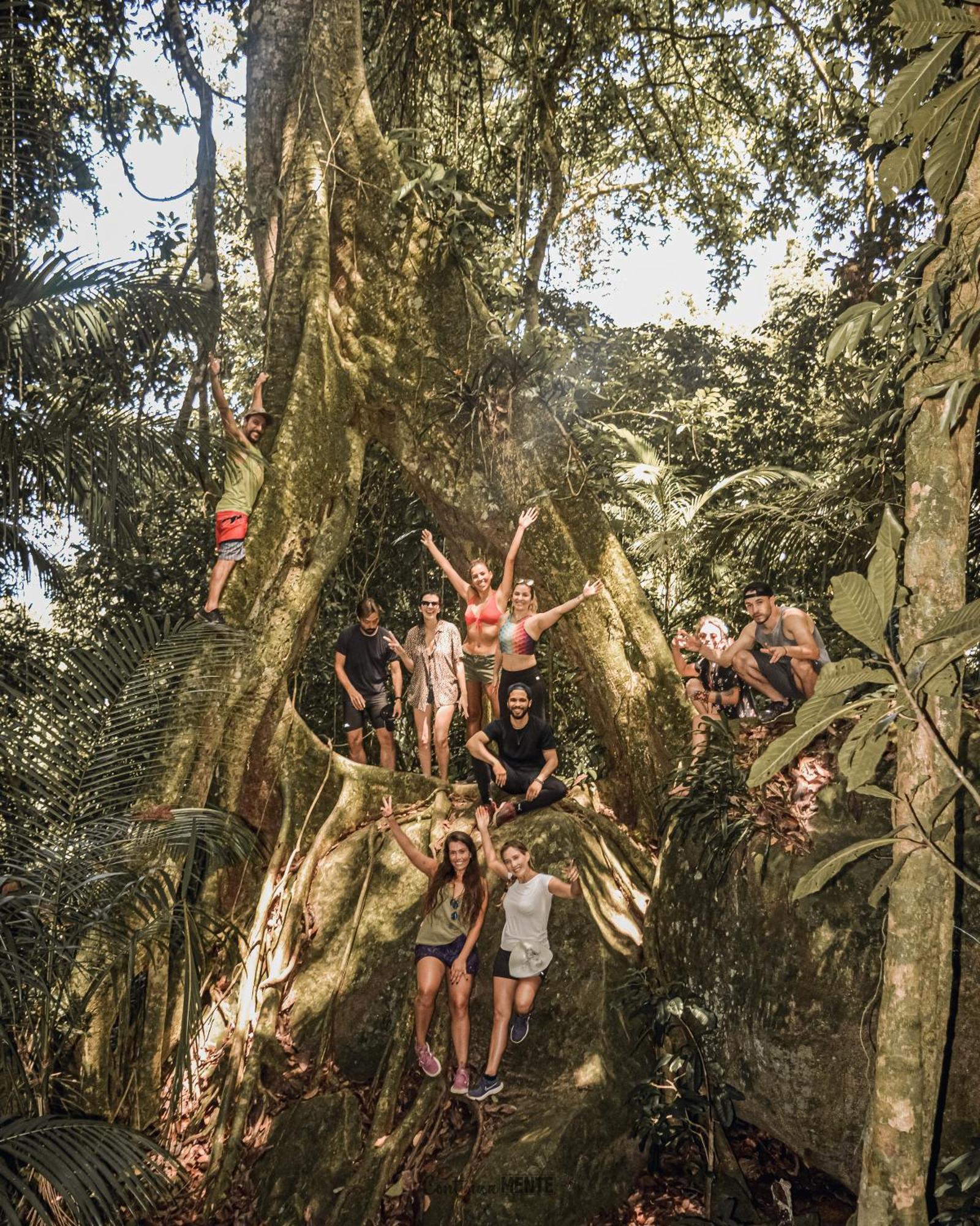 Eco Hostel Organic Life Trindade  Ngoại thất bức ảnh